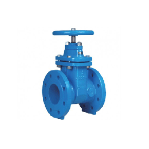 DIN Standard Resilient Gate Valve