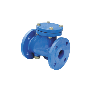 DIN Ball Check Valve 