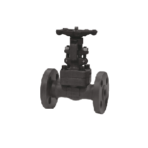 API602 Forged Steel A105 Gate Valve RF