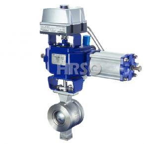 Segment Ball Valve